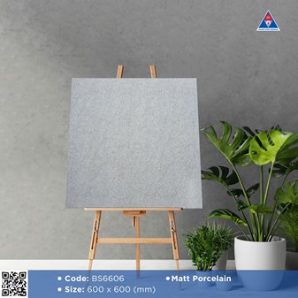 Gạch Viglacera 60x60cm mờ BS6606