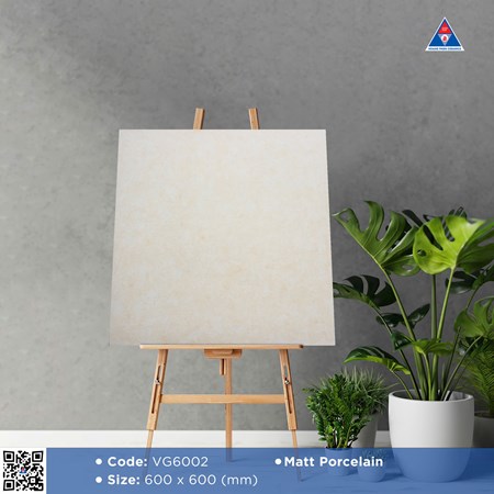 Gạch Viglacera 60x60cm mờ VG6002