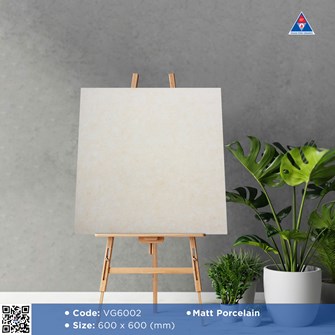 Gạch Viglacera 60x60cm mờ VG6002