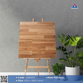Gạch Viglacera 60x60cm mờ VG6003