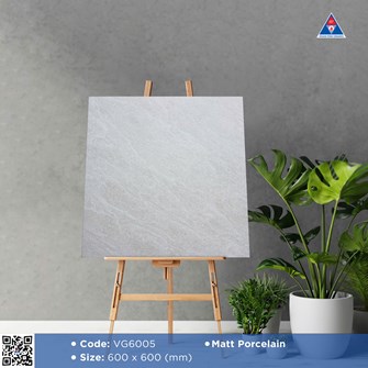 Gạch Viglacera 60x60cm mờ VG6005