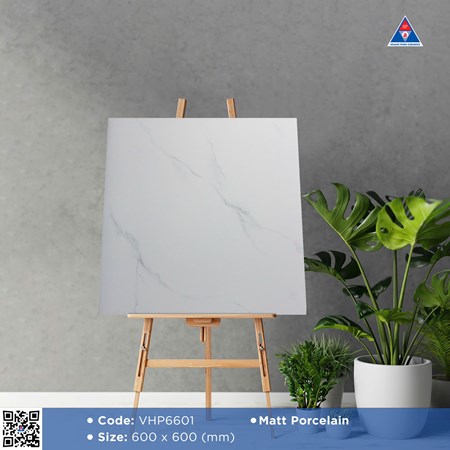 Gạch Viglacera 60x60cm mờ VHP6601