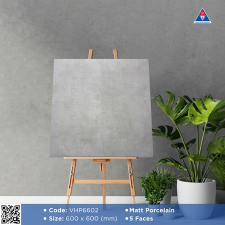Gạch Viglacera 60x60cm mờ VHP6602