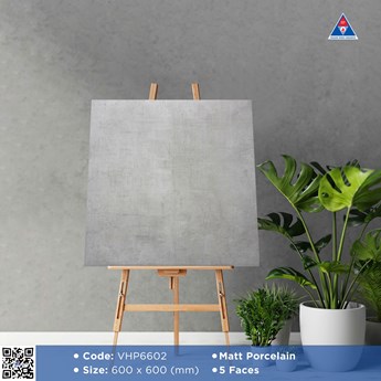 Gạch Viglacera 60x60cm mờ VHP6602