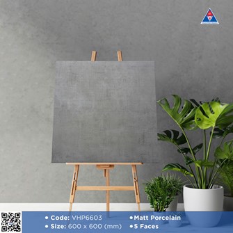 Gạch Viglacera 60x60cm mờ VHP6603