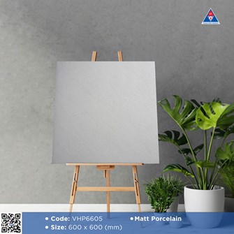 Gạch Viglacera 60x60cm mờ VHP6605