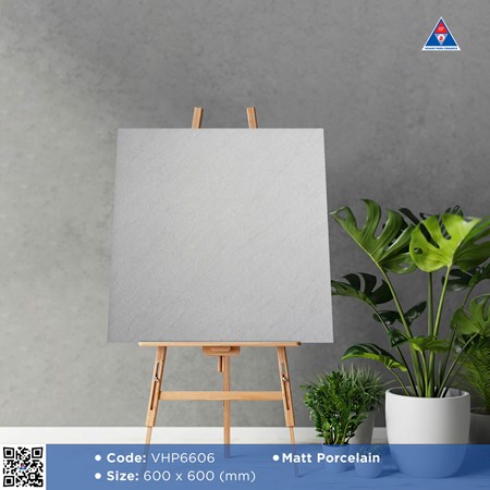Gạch Viglacera 60x60cm mờ VHP6606