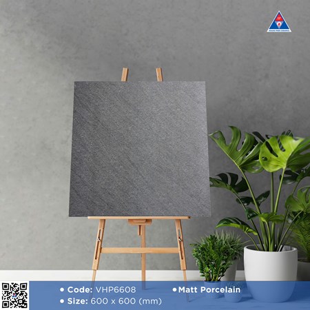 Gạch Viglacera 60x60cm mờ VHP6608
