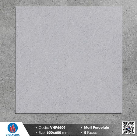 Gạch Viglacera 60x60cm mờ VHP6609