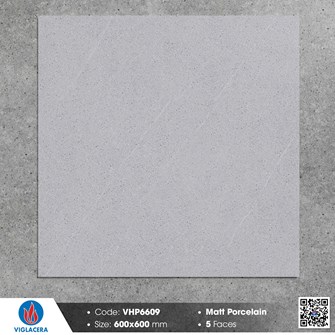 Gạch Viglacera 60x60cm mờ VHP6609