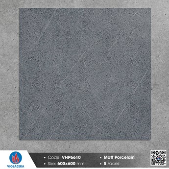 Gạch Viglacera 60x60cm mờ VHP6610