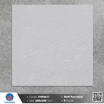 Gạch Viglacera 60x60cm mờ VHP6611