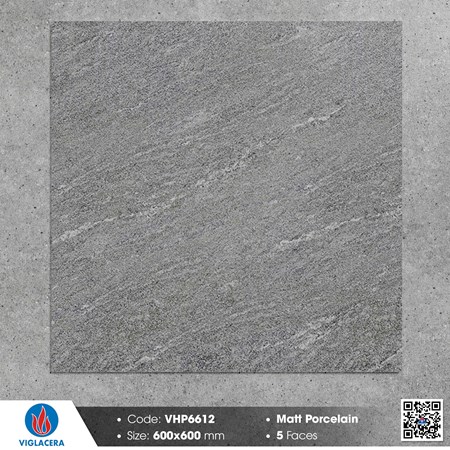 Gạch Viglacera 60x60cm mờ VHP6612