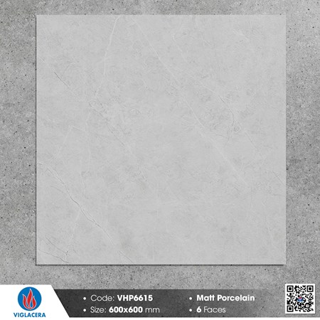 Gạch Viglacera 60x60cm mờ VHP6615