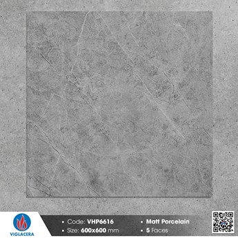 Gạch Viglacera 60x60cm mờ VHP6616