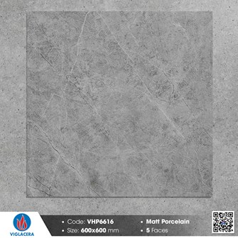 Gạch Viglacera 60x60cm mờ VHP6616