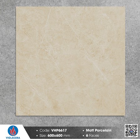 Gạch Viglacera 60x60cm mờ VHP6617