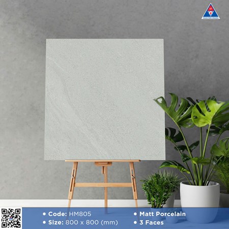Gạch Viglacera 80x80cm Mờ HM805