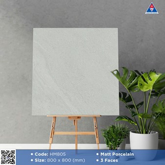 Gạch Viglacera 80x80cm Mờ HM805