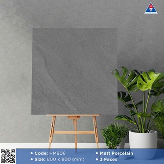 Gạch Viglacera 80x80cm Mờ HM806