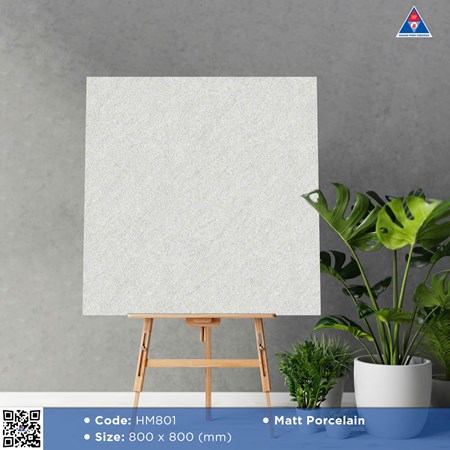 Gạch Viglacera 80x80cm Mờ HM801