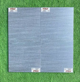 Gạch VITALY 30x30 cm N3055