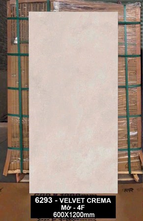 Gạch Ấn Độ 60x120cm 6293 Mờ 