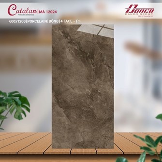 Gạch Catalan 60x120cm 12024