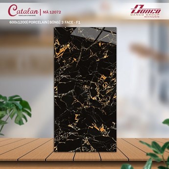 Gạch Catalan 60x120cm 12072