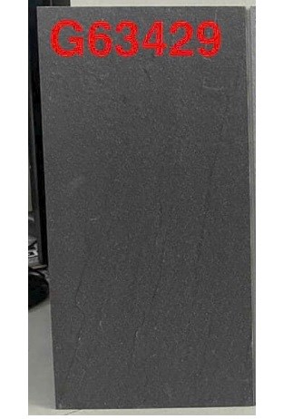 Gạch Taicera 30x60 G63429
