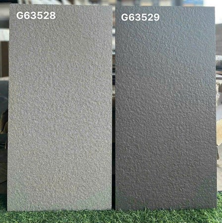 Gạch Taicera 30x60 G63528